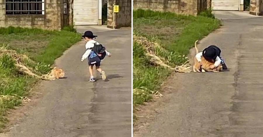 放學路上出現一隻攔路橘，小男孩開始每天都陪貓玩，回家都變晚了