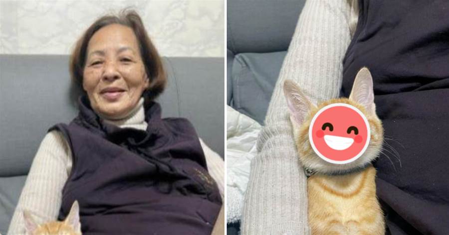 小橘貓第一次和太祖見面，竟就面帶微笑的貼在一起睡覺，太治愈
