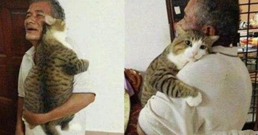 麻麻太忙，拜託阿公照顧愛貓，去接牠時，貓咪正趴在阿公肩上撒嬌：人家只愛阿公一個人~