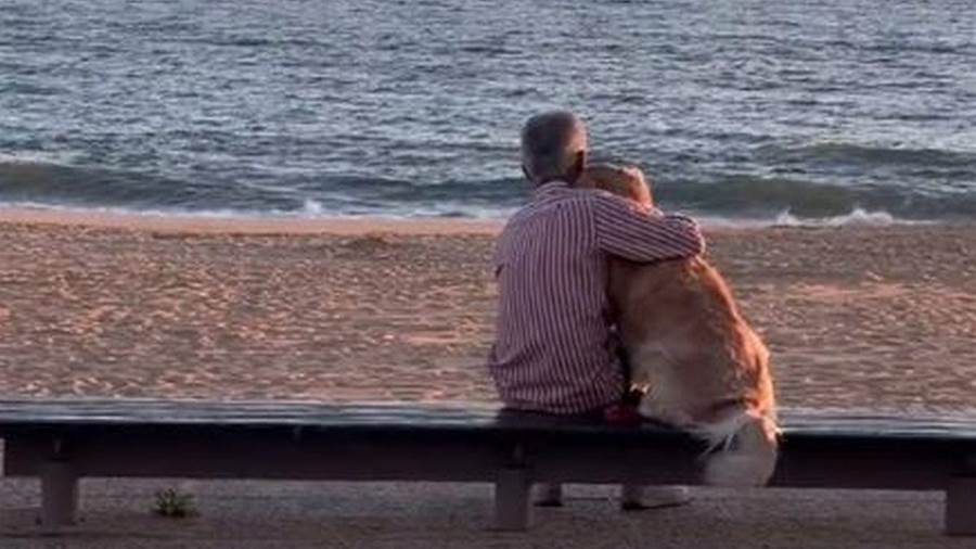 男子抱著狗狗在海邊看日落，路人拍下感動落淚，溫馨的畫面感動所有人 - Marotify - 生活網