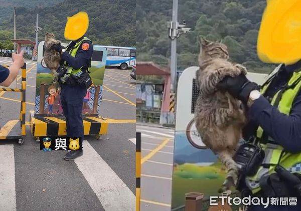 「內灣胖胖貓」當街被警察逮捕　牠一臉驚恐舉腳投降：別抓我呀～ | ETtoday寵物雲 | ETtoday新聞雲