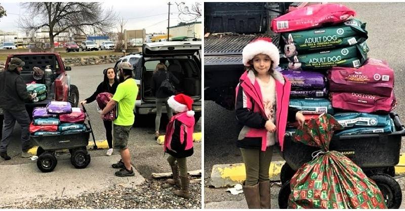 8歲妹過聖誕「沒討要禮物」！反「樂捐整車飼料」給收容所：我當牠們的耶誕老人～