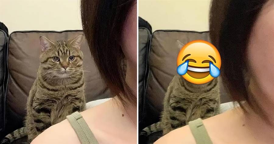 貓咪發現女主人在自拍，就躲在背后悄悄「做鬼臉」：鏡頭完全被搶了！