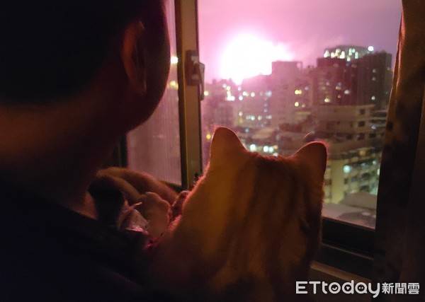 老公緊抱貓賞跨年煙火　吩咐妻「幫我們拍照」笑噴網：這是真愛！ | ETtoday寵物雲 | ETtoday新聞雲