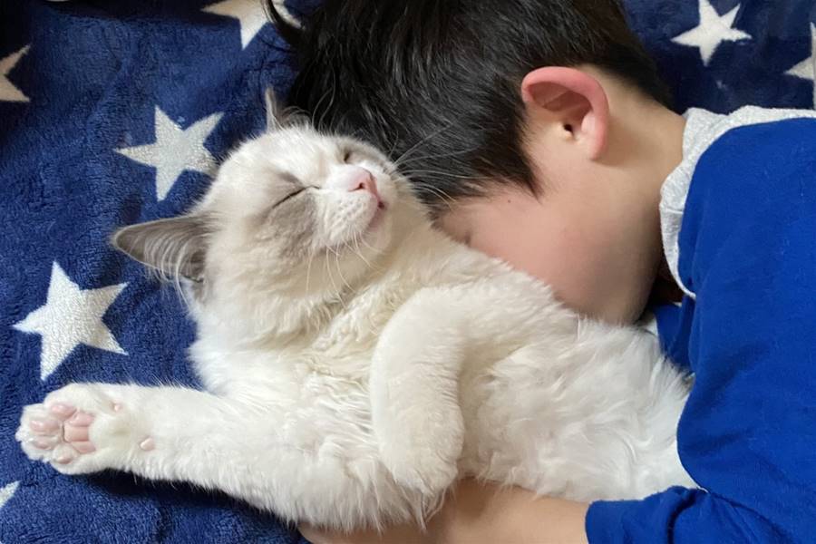 小貓奴將幼貓當抱枕！媽見他「吸貓到睡著」：像親兄弟 | 寵毛星球 | 生活 | NOWnews今日新聞