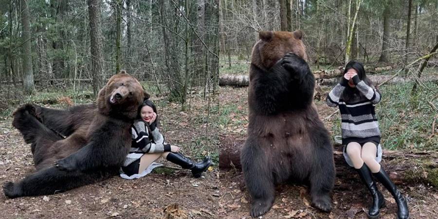 可以一起拍照的棕熊！莫斯科棕熊Tom親人又可愛，還超會擺pose，深受人們喜愛 - 貓咪公社
